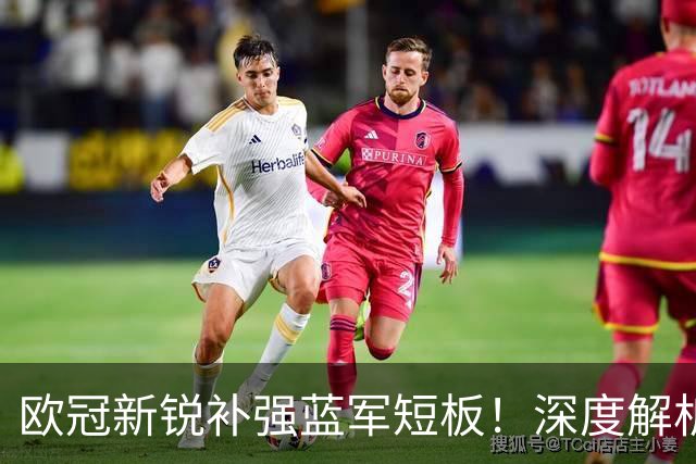 欧冠新锐补强蓝军短板！深度解析巴尔科拉实力与切尔西引援价值